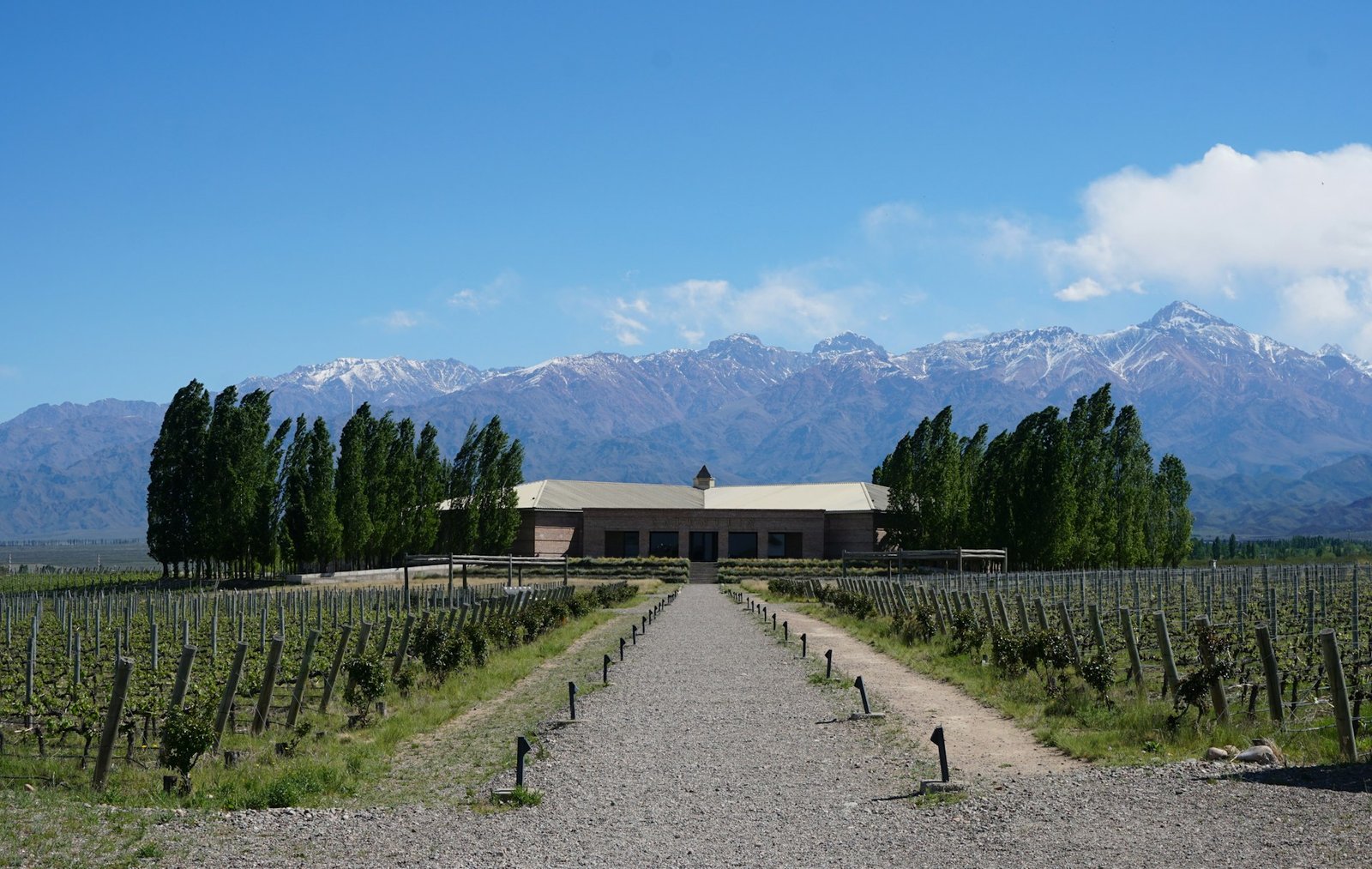Bodega y viñedos del Valle de Uco con la cordillera de los Andes, Mendoza