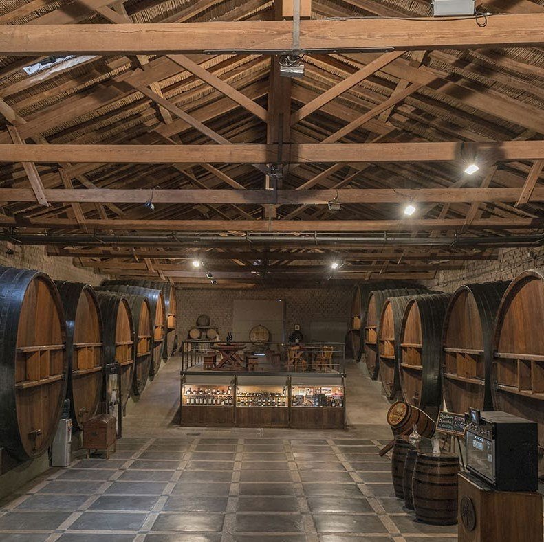Sala de barricas en una bodega histórica de Maipú